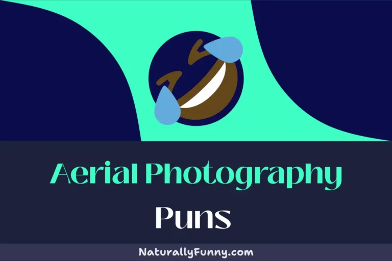 629 Aerial Photography Puns for a High-Flying Giggle Fit