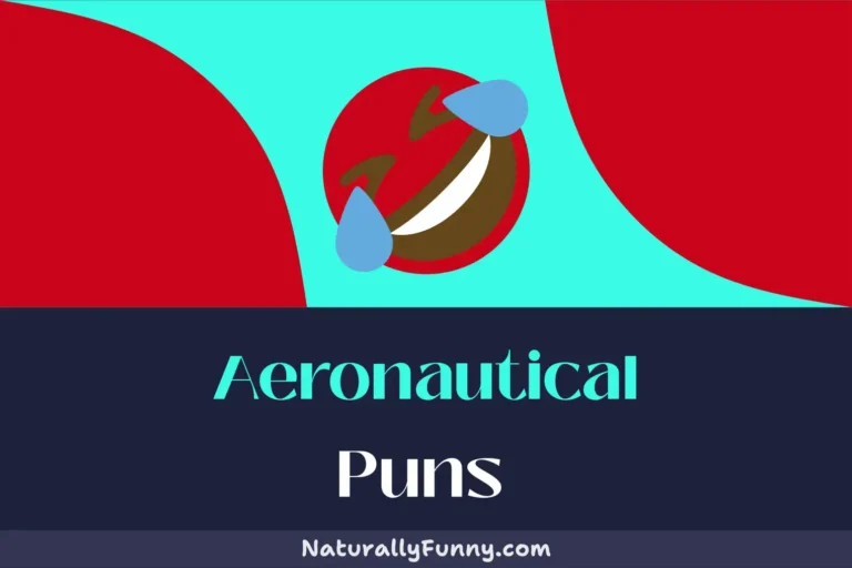 652 Aeronautical Puns to Takeoff Into Hilarity