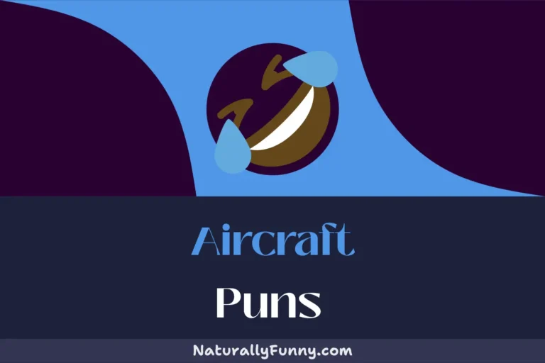 626 Aircraft Puns for a Turbo-charged Sense of Humor