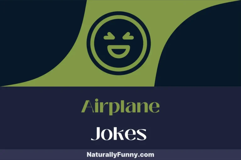 539 Airplane Jokes That Are Plane Hilarious