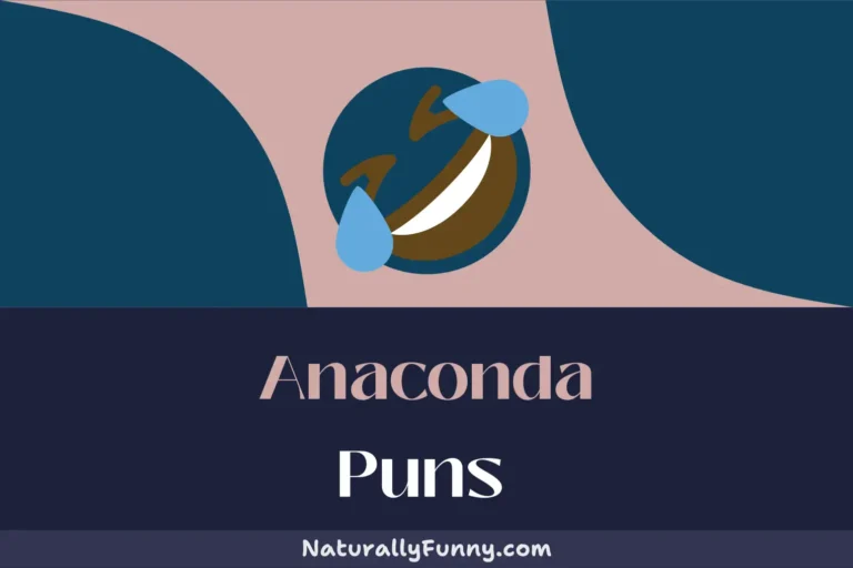 638 Anaconda Puns for a Wild Comedy Adventure