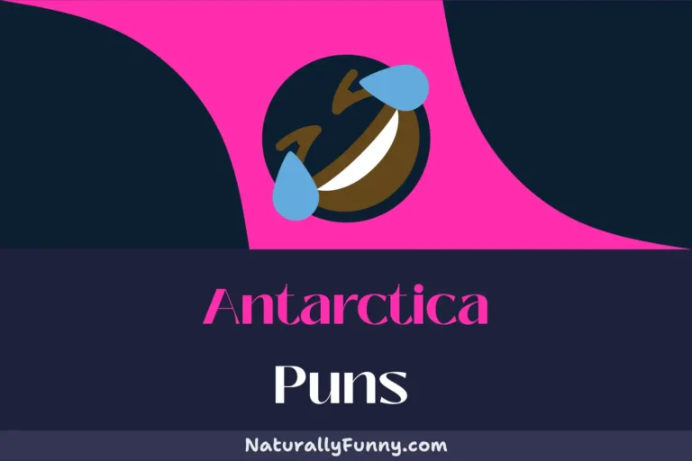 505 Antarctica Puns for a Blizzard of Belly Laughs