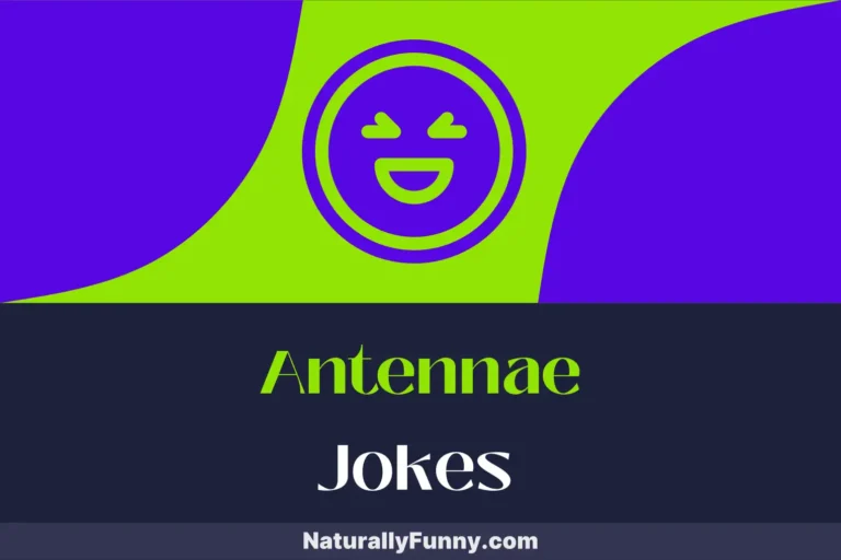 886 Antennae Jokes to Amplify Your Sense of Humor