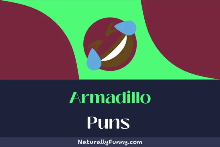 639 Armadillo Puns That Will Make You Crack Your Shell