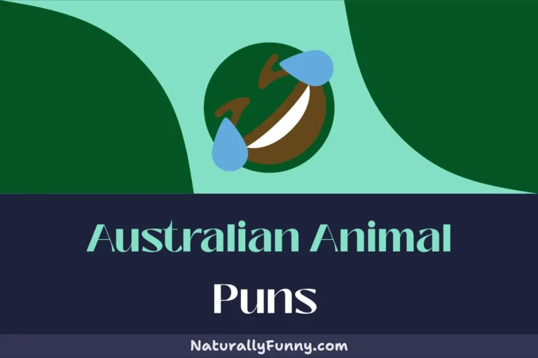 564 Australian Animal Puns That Are Dingo-lingly Funny
