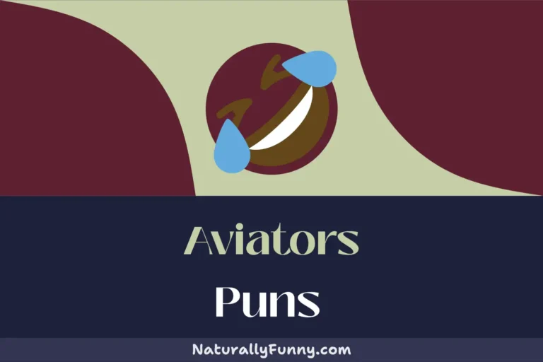 740 Aviators Puns That Will Skyrocket Your Laughter