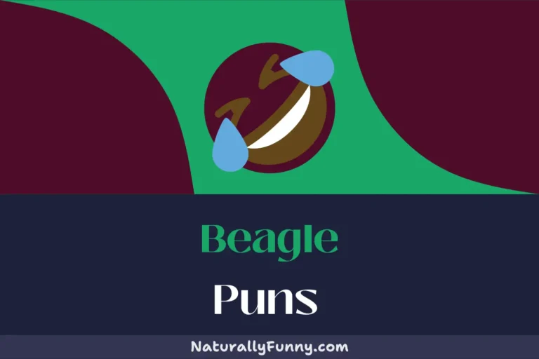 635 Beagle Puns to Unleash Your Inner Comedian