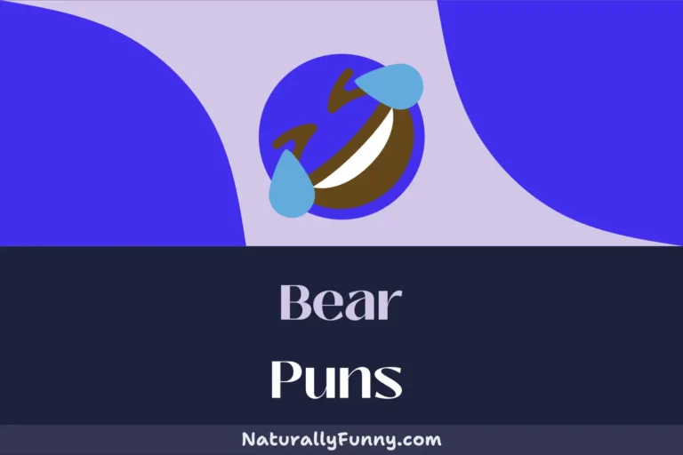 525 Bear Puns That Are Un-bear-ably Funny