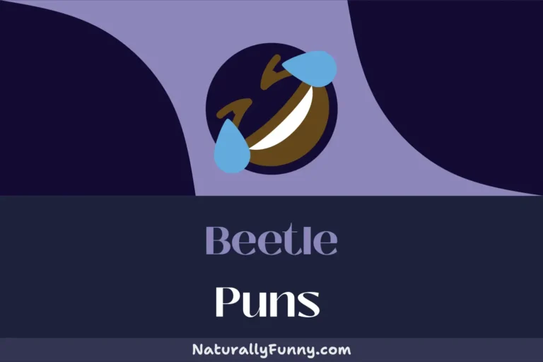 584 Beetle Puns That Will Bug-ger Your Blues Away