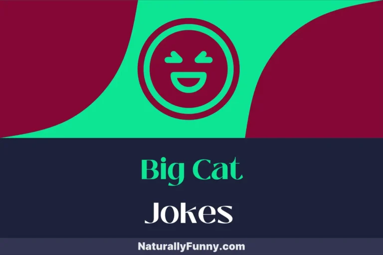 603 Big Cat Jokes for Purring with Pleasure
