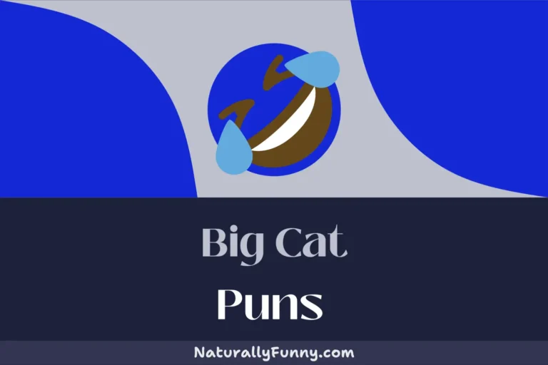 644 Big Cat Puns That Will Have You Roaring With Laughter