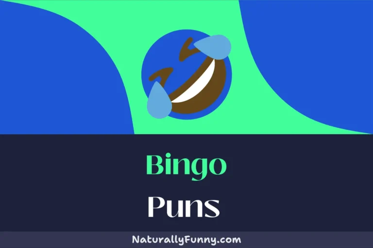 501 Bingo Puns That Will Get Your Laughter Ball Rolling