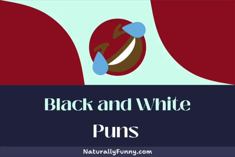 312 Black and White Puns That Will Add Color to Your Day