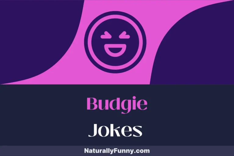 570 Budgie Jokes for Aviary Amusing Moment