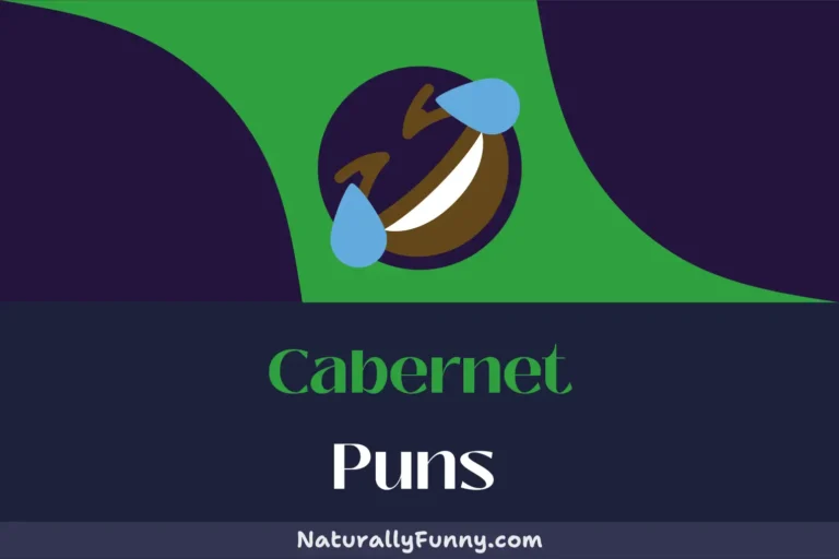 545 Cabernet Puns to Make Your Grape Night More Flavorful