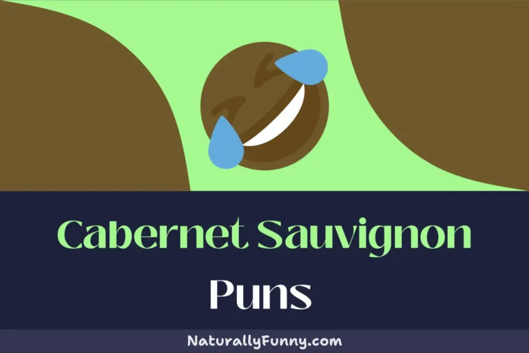 444 Cabernet Sauvignon Puns to Uncork Your Laughter