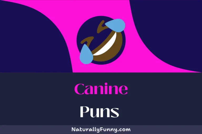 549 Canine Puns to Collar Your Funny Bone