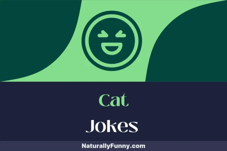 314 Cat Jokes to Keep You Hiss-terically Laughing