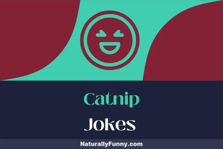770 Catnip Jokes That Unleash the Feline Funny Bone