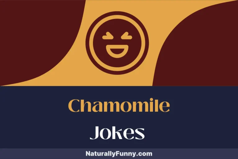 676 Chamomile Jokes for a Herbal Dose of Hilarity