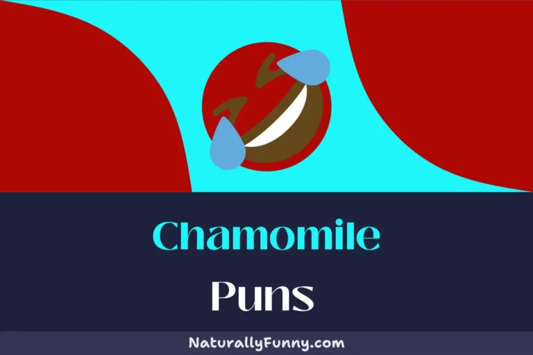 746 Chamomile Puns to Soak In for Maximum Amusement