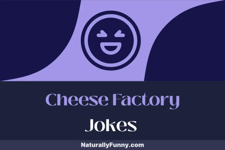 688 Cheese Factory Jokes to Cheddar All Your Frowns
