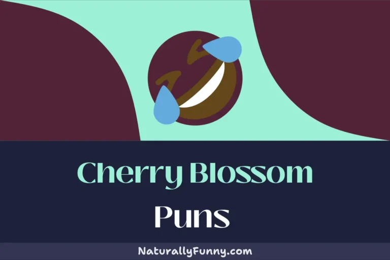 578 Cherry Blossom Puns to Help You Branch Out Your Humor