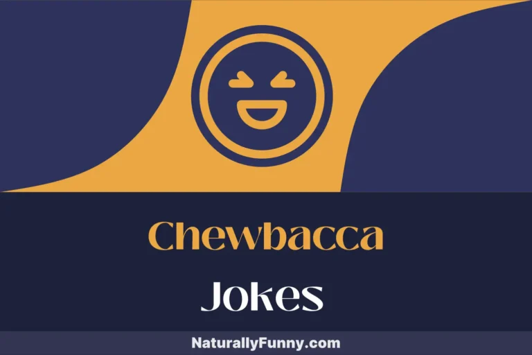 562 Chewbacca Jokes for Those Nights Under a Starry Sky