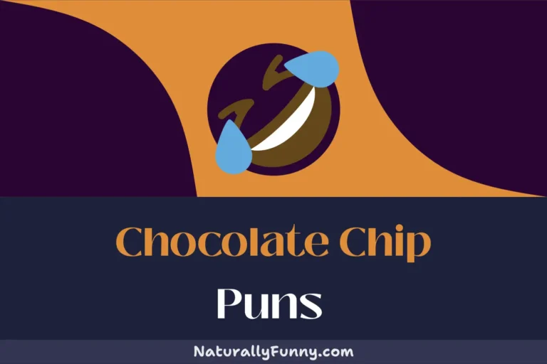 564 Chocolate Chip Puns to Tickle Your Cocoa-nny Bone