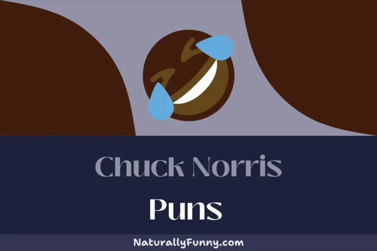 187 Chuck Norris Puns That Will Knock Your Socks Off