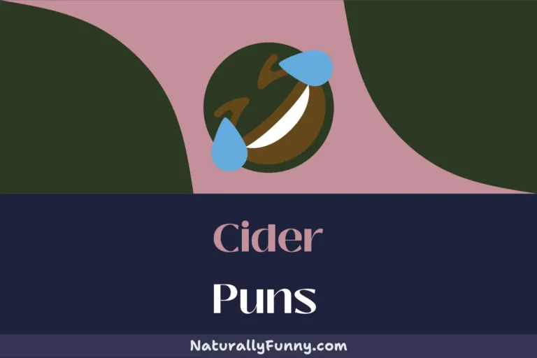 526 Cider Puns for Those Who Love to Laugh and Lager