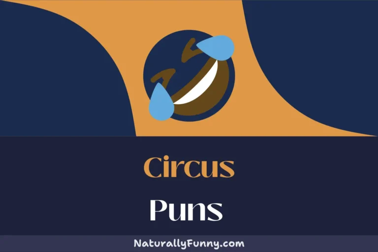 374 Circus Puns That Will Juggle Your Funny Bone