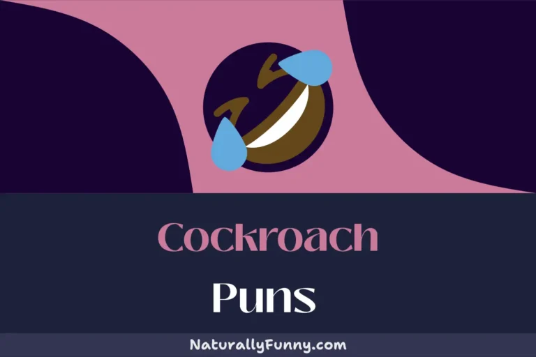 504 Cockroach Puns for the Insect-ually Humorous