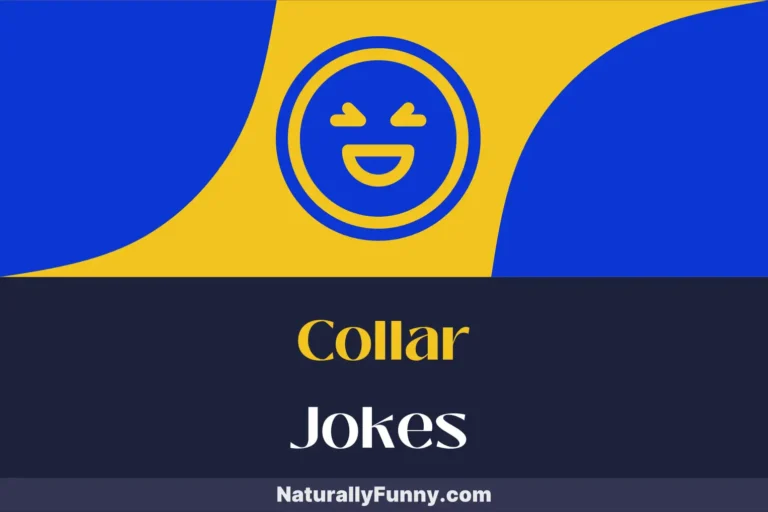 796 Collar Jokes for Fashionistas on a Funny Streak