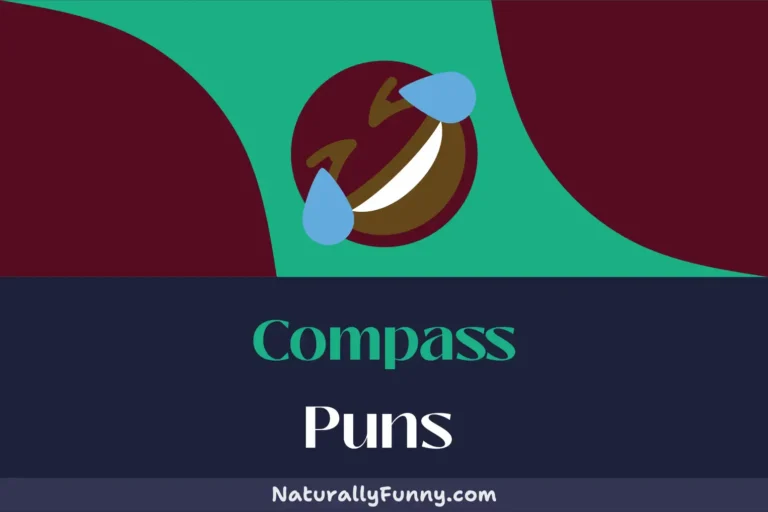535 Compass Puns to Make Your Humor the True North