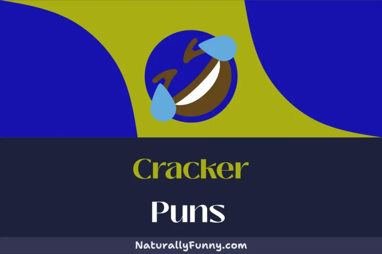 561 Cracker Puns to Spice Up Your Humor