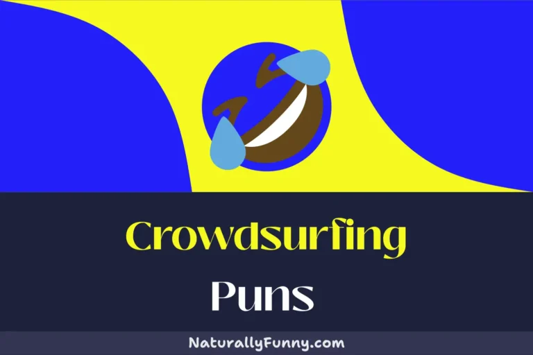 611 Crowdsurfing Puns for a Barrel of Laughs