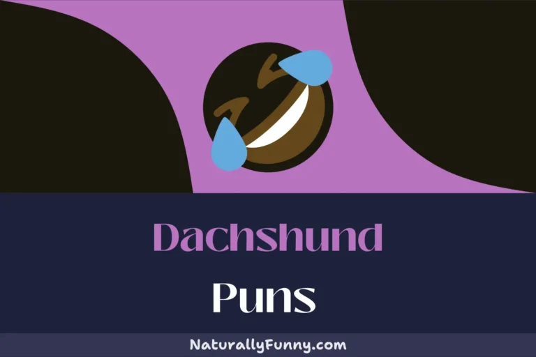 569 Dachshund Puns That Bark Up the Right Tree of Humour