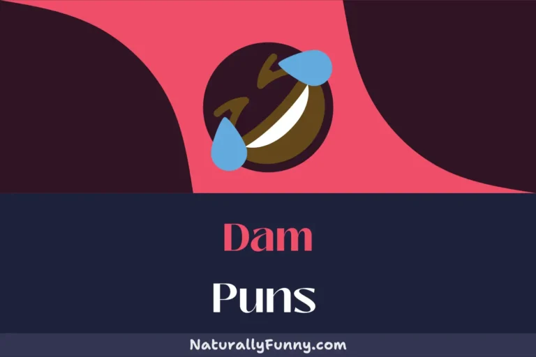 615 Dam Puns That Will Drench You in Joy