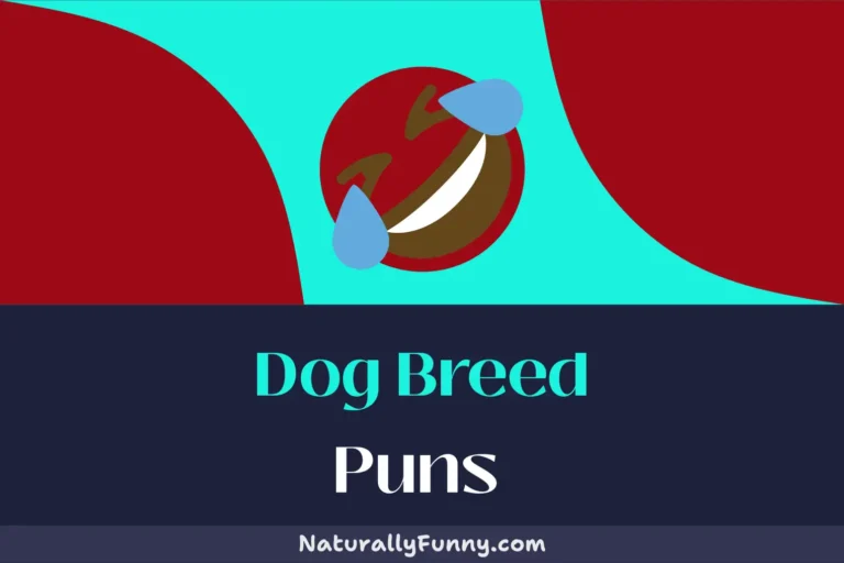 745 Dog Breed Puns to Unleash Your Inner Comedian