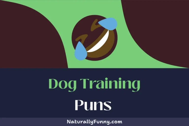 573 Dog Training Puns to Add Some Bark to Your Bite