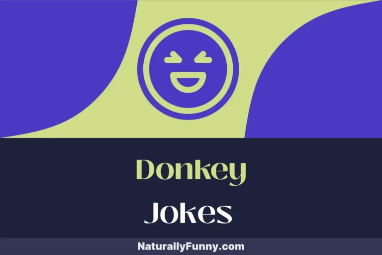 417 Donkey Jokes That Will Haul in the Humor