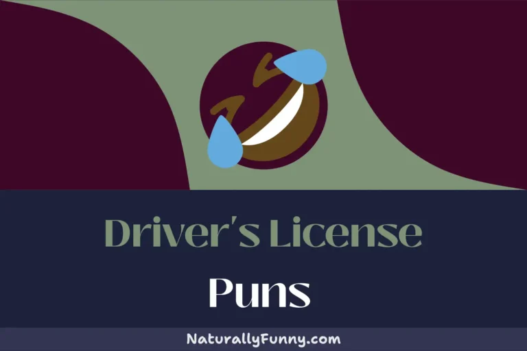 589 Driver’s License Puns to Gear Up Your Giggles