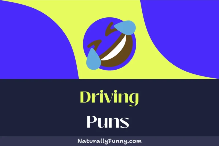 555 Driving Puns That Will Drive You Wild with Laughter