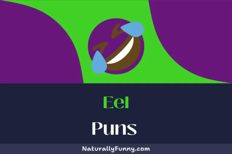 685 Eel Puns That Are Unr-eel-ievable in Their Humor