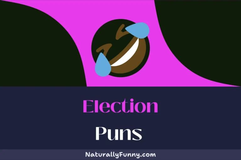 517 Election Puns to Inaugurate Your Joke Collection