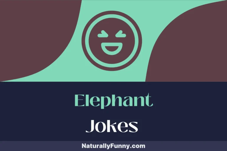 216 Elephant Jokes for an Unforgettable Comedy Experience
