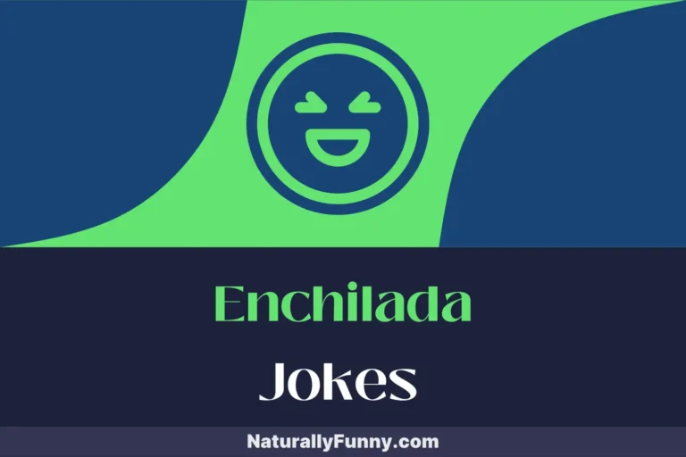 562 Enchilada Jokes to Wrap Up Your Day with Laughter
