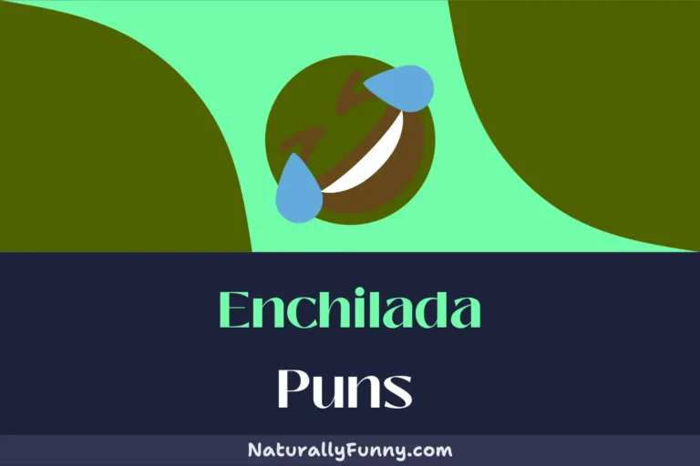 551 Enchilada Puns That Will Guac Your World