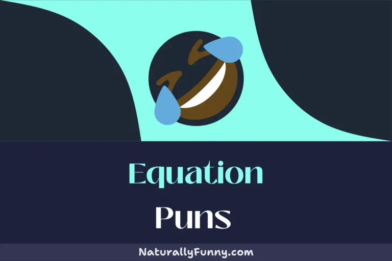 363 Equation Puns for Calculated Comedy